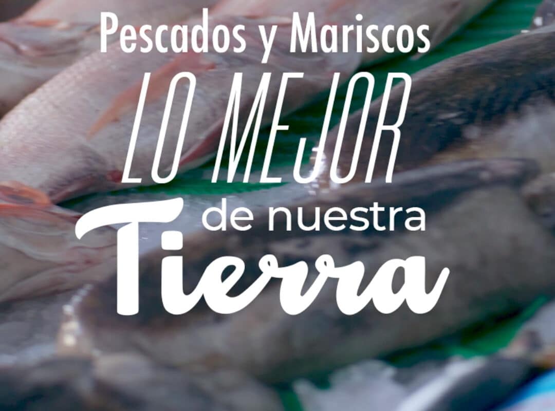 Los jóvenes españoles y el consumo de pescado: Pesca España lanza una campaña para incentivar una dieta saludable