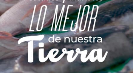 Los jóvenes españoles y el consumo de pescado: Pesca España lanza una campaña para incentivar una dieta saludable