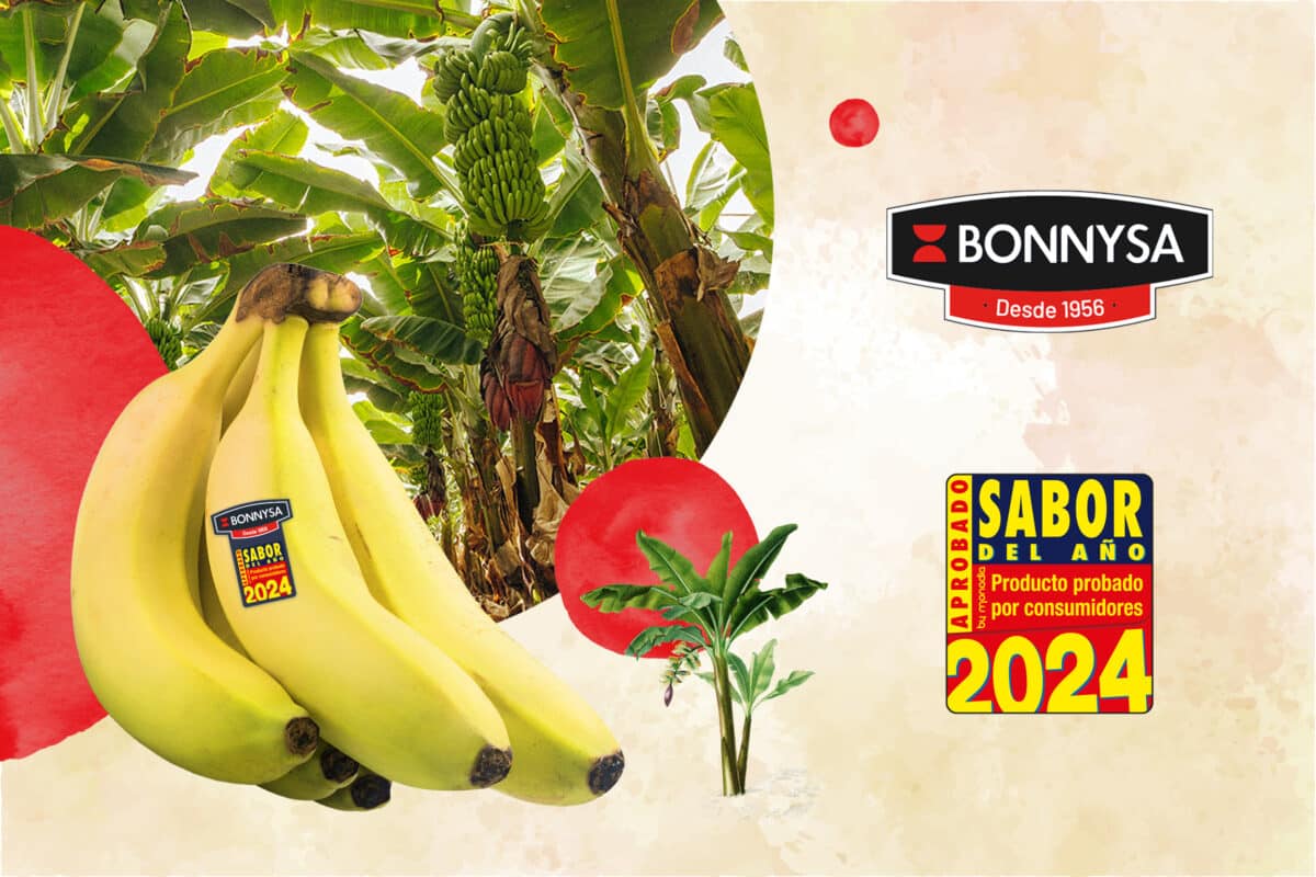El plátano Bonnysa revalida su título de Sabor del Año 2024