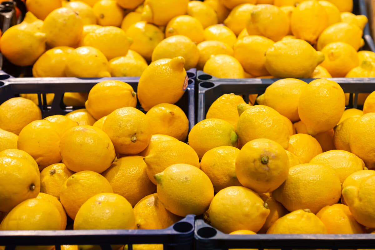 Tres de cada cuatro limones consumidos en la Unión Europea tienen origen español
