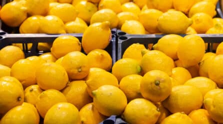 Tres de cada cuatro limones consumidos en la Unión Europea tienen origen español