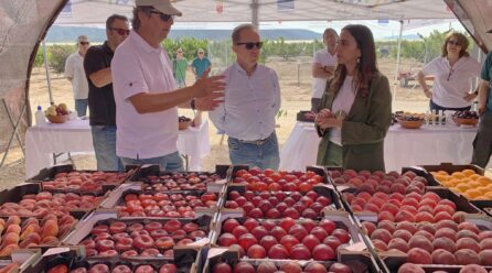 El IMIDA desarrolla 23 nuevas variedades de melocotón, nectarina, paraguayo y ciruelo