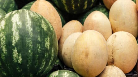 Altos precios para la sandía y melón almerienses en pleno mes de mayo