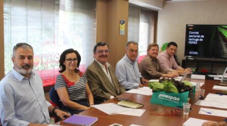 Cecilio Peregrín, nuevo presidente de la sectorial de lechuga en Fepex