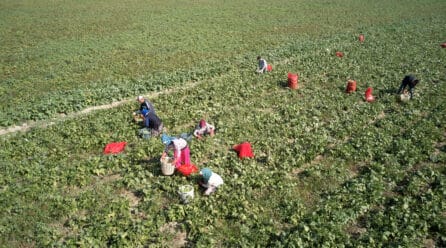 El paro disminuye en la agricultura un 2,4% en mayo