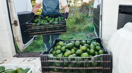 El paro agrícola se redujo un 5,65% en el segundo trimestre de 2024