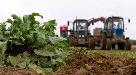 Los agricultores españoles recibieron más de 5.000 millones de euros de la PAC hasta junio