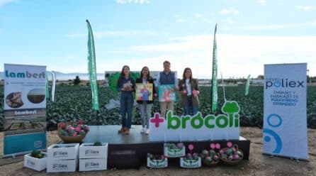 La asociación +Brócoli lanza ‘Mejor con brócoli, su XX campaña de promoción de esta brásica