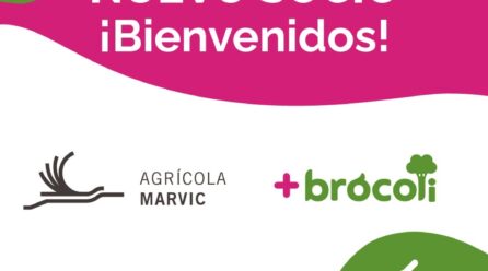 Agrícola Marvic se une a la asociación +Brócoli para impulsar el consumo de productos saludables y sostenibles