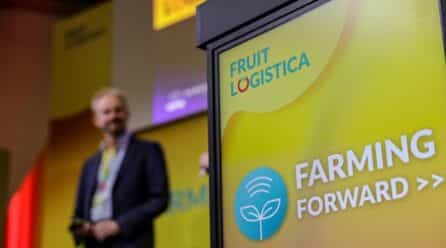 FRUIT LOGISTICA 2025 presentará «conexiones fructíferas» para el mercado mundial de productos frescos