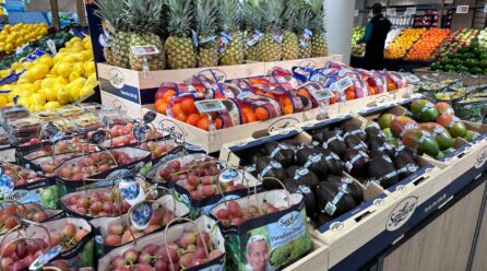 SanLucar y Greenfood refuerzan su alianza para llevar fruta premium a Suecia