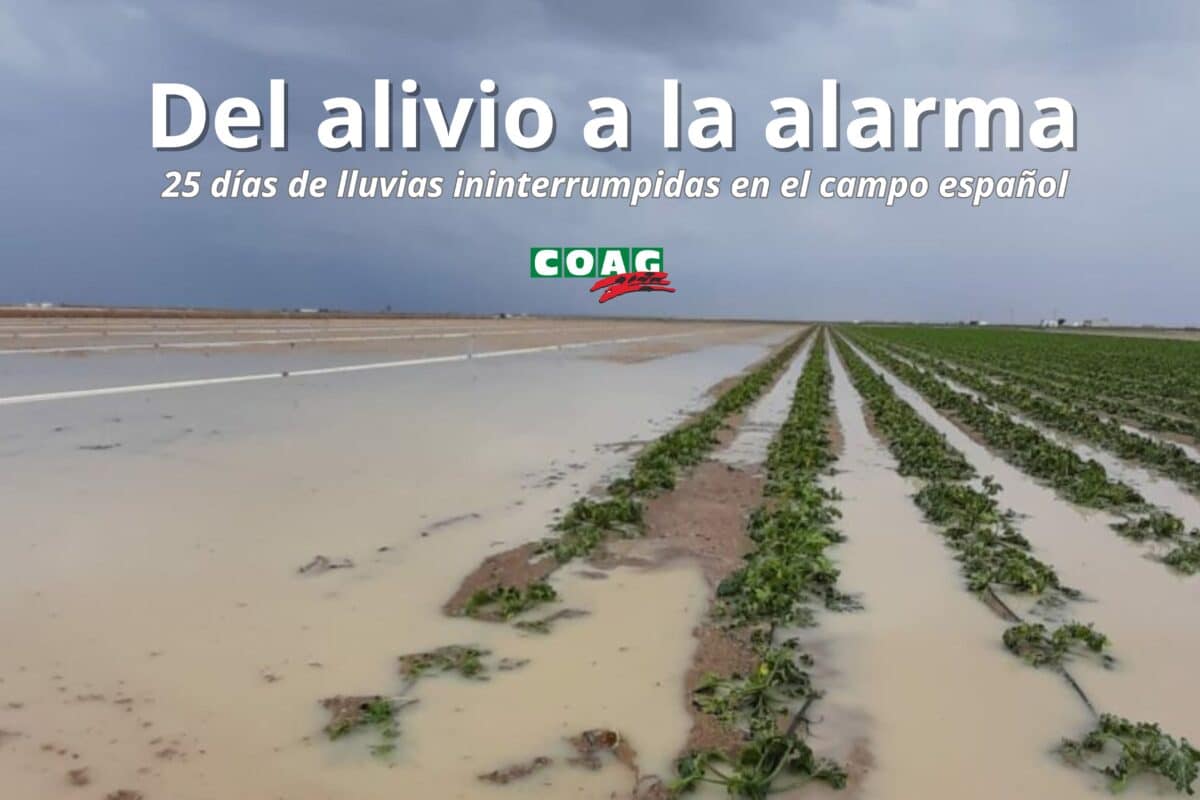COAG analiza el impacto del temporal en el sector agrario: del alivio a la preocupación