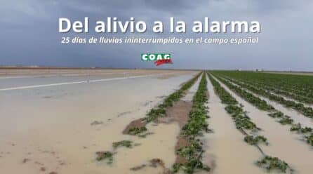 COAG analiza el impacto del temporal en el sector agrario: del alivio a la preocupación