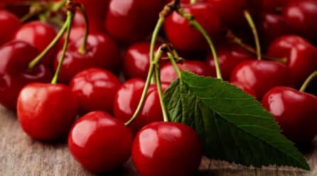 La D.O.P Cereza del Jerte certifica tres nuevas variedades para extender su presencia en el mercado