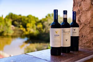 Bodegas Leda abre sus puertas al enoturismo por primera vez