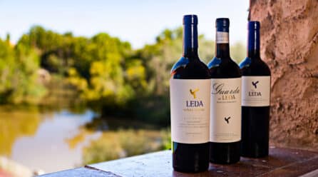 Bodegas Leda abre sus puertas al enoturismo por primera vez