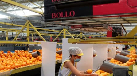 Bollo Natural Fruit integra a Cortijo Cuevas y entra en el segmento de IV Gama