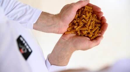Grupo Gallo cumple 10 años liderando el sector sin gluten con la única fábrica dedicada en exclusiva de la península