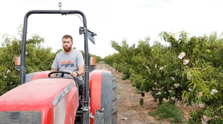 UPA se desmarca del COPA-Cogeca y respalda una posición más firme para los agricultores en la cadena alimentaria
