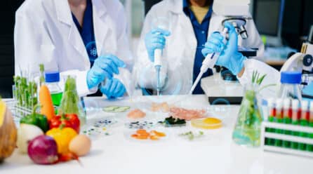 El papel clave de las enzimas en la industria alimentaria