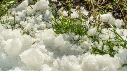 UPA-Murcia exige ayudas directas y urgentes para los agricultores afectados por el granizo