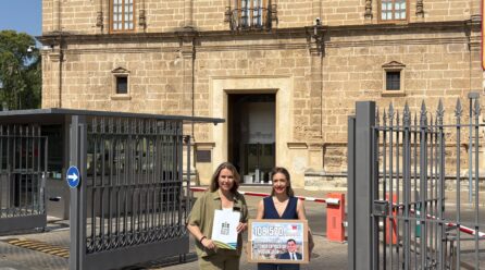 Más de 108.000 firmas para detener la tala de olivos tradicionales por megaplantas solares