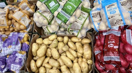 Lidl garantiza patata nacional todo el año y prevé superar las 26.000 toneladas en 2024