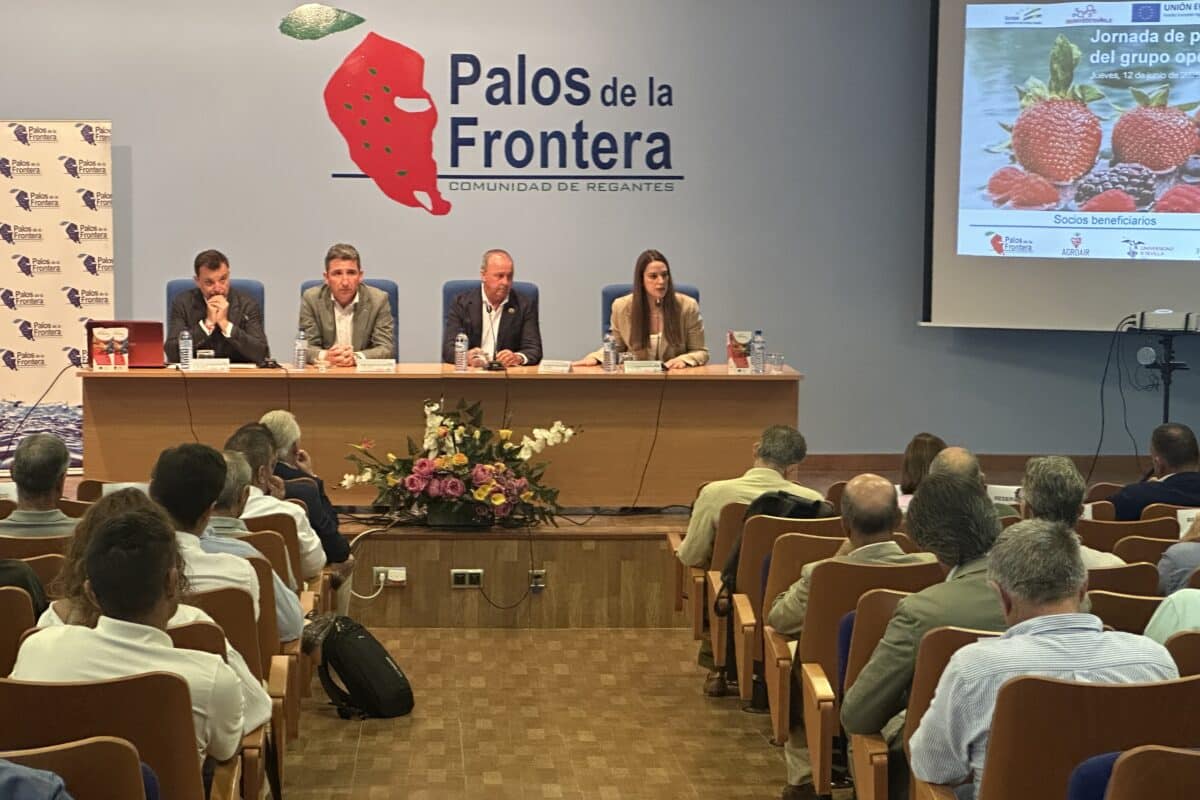 IA, Big Data e IoT permiten ahorrar un 20% de agua en el cultivo de frutos rojos sin perder calidad