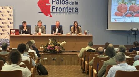IA, Big Data e IoT permiten ahorrar un 20% de agua en el cultivo de frutos rojos sin perder calidad