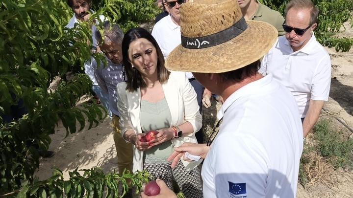 La Región de Murcia registrará tres nuevas variedades de fruta de hueso desarrolladas por el IMIDA