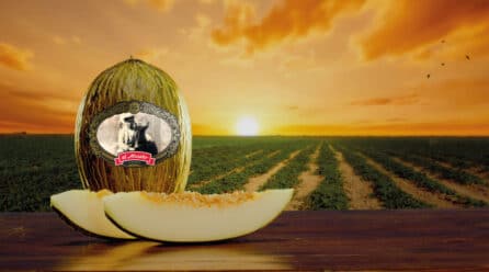 Melones El Abuelo apuesta por humor y tradición en su campaña de verano 2025: “No se pueden hacer mejor”
