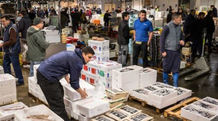Mercabarna comercializó 2,6 millones de toneladas de alimentos frescos en 2024 y aumentó su beneficio un 5,5%