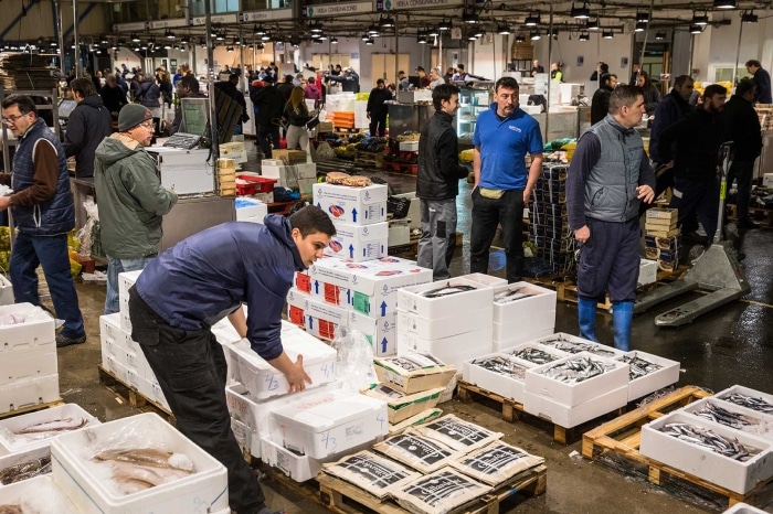 Mercabarna comercializó 2,6 millones de toneladas de alimentos frescos en 2024 y aumentó su beneficio un 5,5%