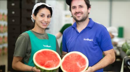 Benihort arranca su campaña de sandía con previsión de 7 millones de kilos