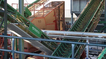 UPA pide regular la comercialización del aceite de oliva para proteger al olivar tradicional y estabilizar el mercado
