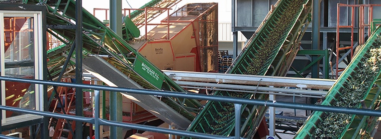 UPA pide regular la comercialización del aceite de oliva para proteger al olivar tradicional y estabilizar el mercado