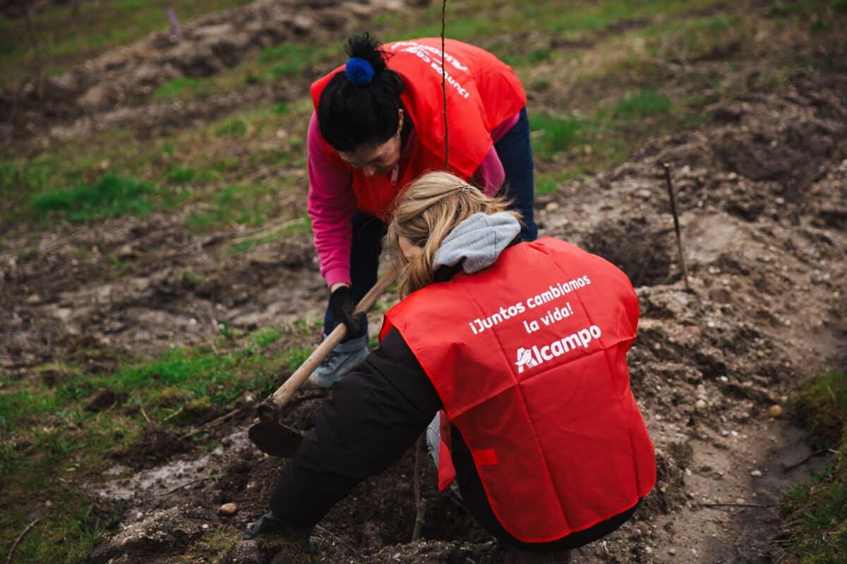 Alcampo impulsa cinco nuevos proyectos sociales por una alimentación saludable y accesible