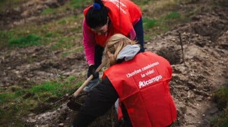 Alcampo impulsa cinco nuevos proyectos sociales por una alimentación saludable y accesible