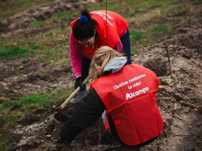 Alcampo impulsa cinco nuevos proyectos sociales por una alimentación saludable y accesible