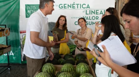 Murcia se convierte en epicentro mundial de la innovación en melón y sandía