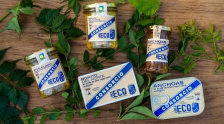 Grupo Consorcio crece un 13% en 2024 y supera los 78 millones de euros de facturación