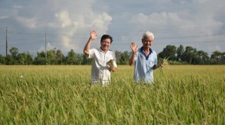 BENEO impulsa un proyecto pionero para el cultivo sostenible de arroz en Vietnam