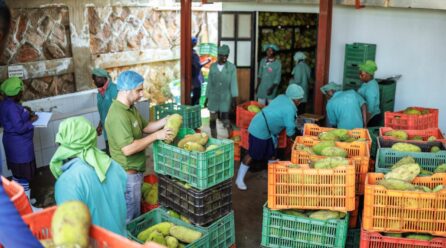 Invertir en las zonas rurales, clave para frenar el impacto de los altos precios de los alimentos
