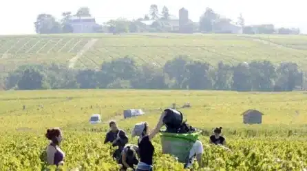 La subida salarial en los convenios agrícolas alcanza el 2,04 % en julio