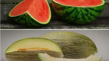 El consumo de melón y sandía en los hogares españoles crece un 8,6%
