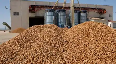 Fecoam alerta sobre el riesgo de los aranceles de EE. UU. para los frutos secos españoles