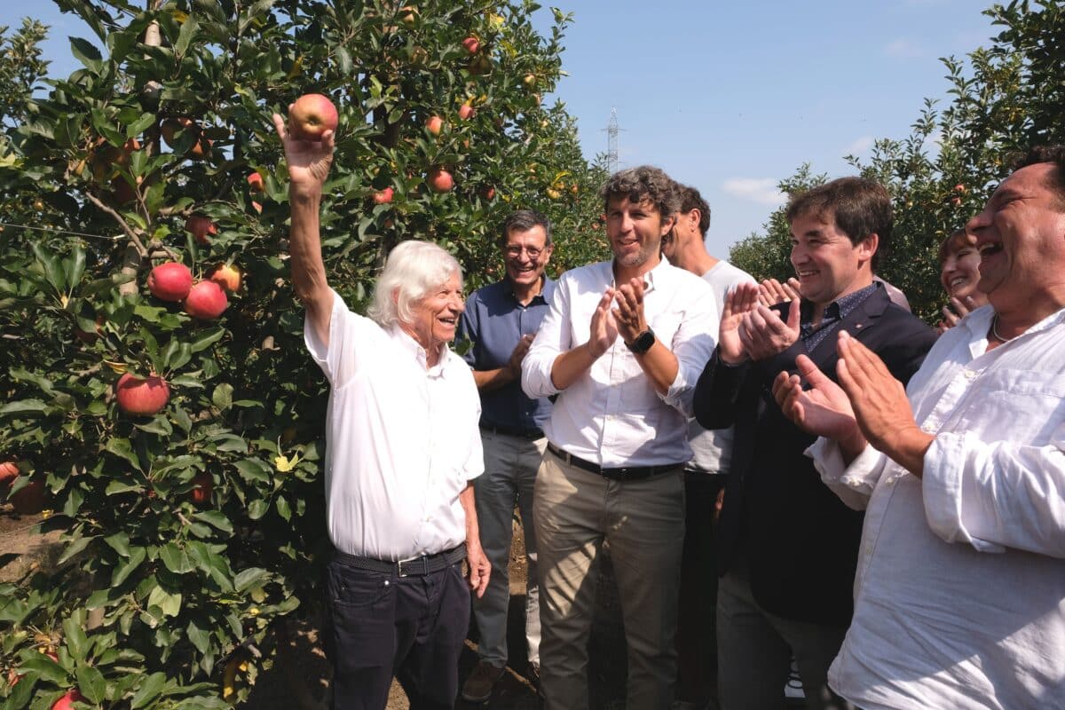 Poma de Girona prevé más de 89.000 toneladas con una fuerte renovación varietal