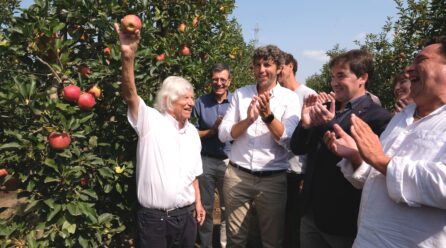 Poma de Girona prevé más de 89.000 toneladas con una fuerte renovación varietal