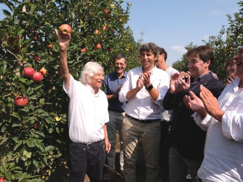 Poma de Girona prevé más de 89.000 toneladas con una fuerte renovación varietal