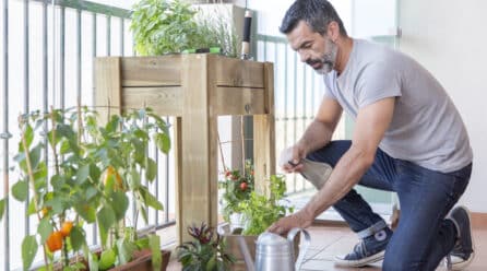 Los huertos urbanos superan los 15.000 en España